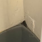 Rodent extraction