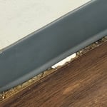 Rodent extraction