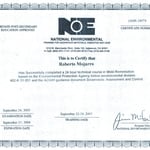 Mold Remediator