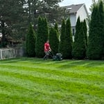 Fall Aeration Service