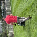 Fall Aeration Service