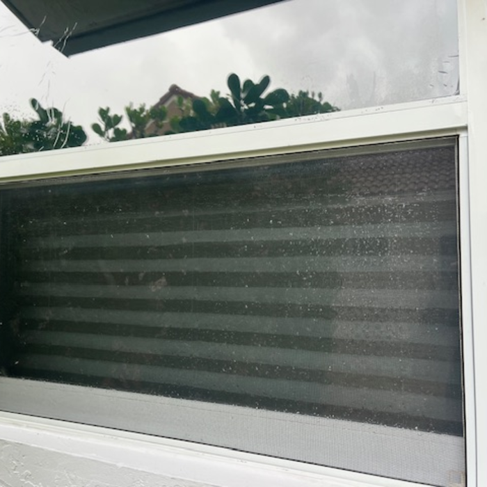 Side Window After