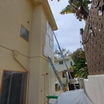 Exterior paint