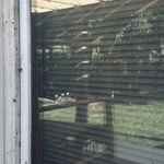 Window Washing