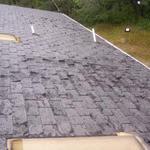 Existing Roof