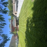 Mowing
