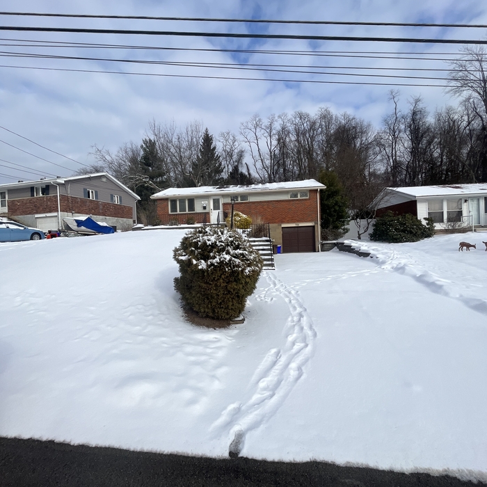 Snow Removal