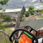 Tree service