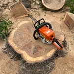 Tree service