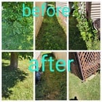 Lawn Cleanup