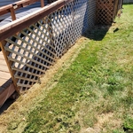 Lawn Cleanup