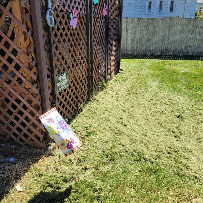 Lawn Cleanup