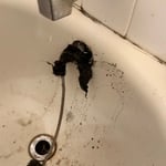 Bathtub Drain unclogged