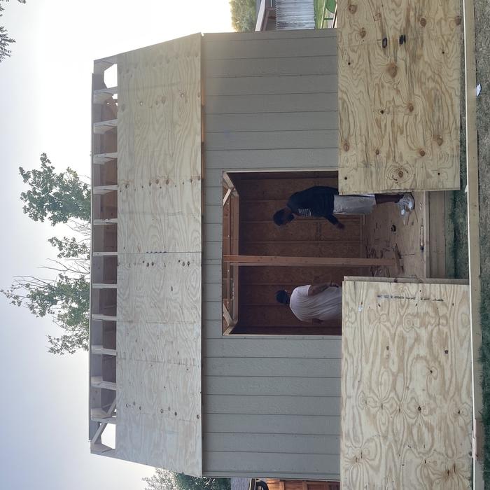 Custom Shed build