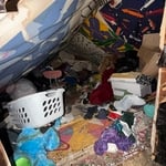 Full house cleanout