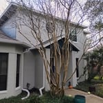 EXTERIOR REPAINT