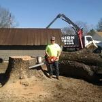 Big oak tree