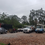 trees and land clearing