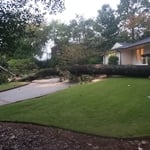 trees and land clearing