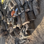 Firewood