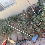 Vegetation Clearing