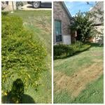 Lawn Service And Garden