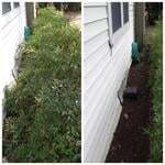 Landscape Maintenance