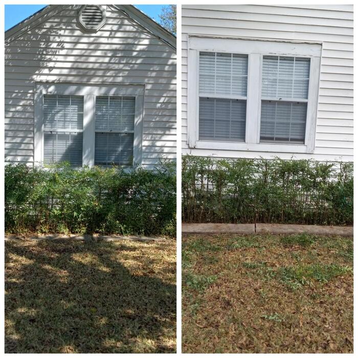 Landscape Maintenance