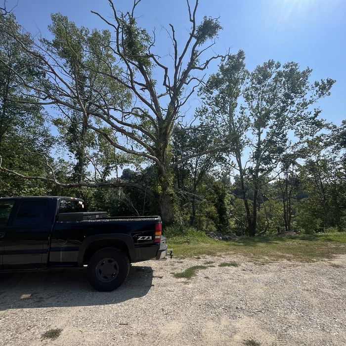 Hazard tree removal