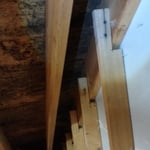 Attic Mold Problem