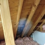 Attic Mold Problem