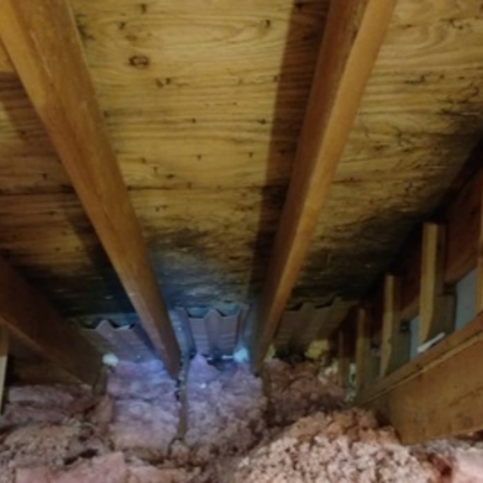 Attic Mold Problem