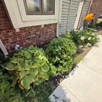 Flowerbed Refresh