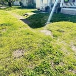 Yard work