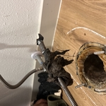 Drain cleaning