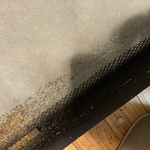 Bed bug infestation