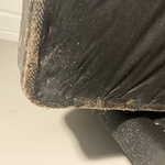 Bed bug infestation