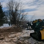 Black Locust Removals