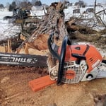 Black Locust Removals