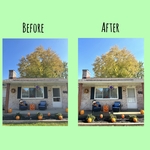 Gutter/soffit cleaning