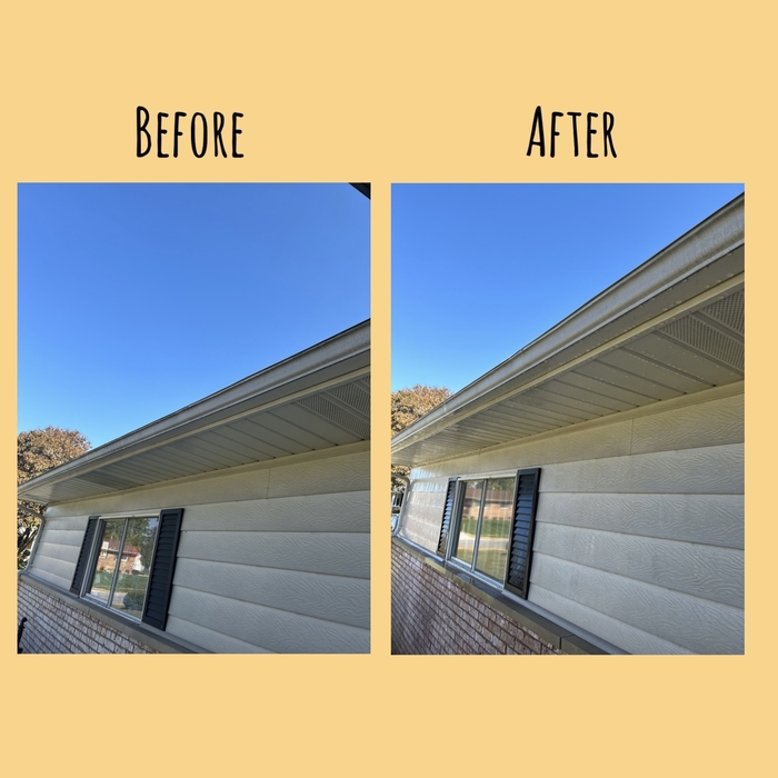 Gutter/soffit cleaning