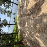 Dirt work