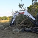 Tree Removal