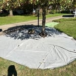 Rock bed/dirt removal
