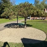 Rock bed/dirt removal