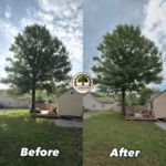 J Jimenez Tree Service