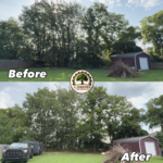 J Jimenez Tree Service
