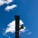 Negative Rigging