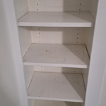 Move-in Clean