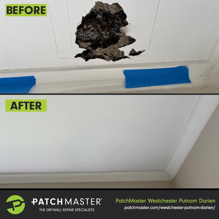 Wasp Damage Ceiling 